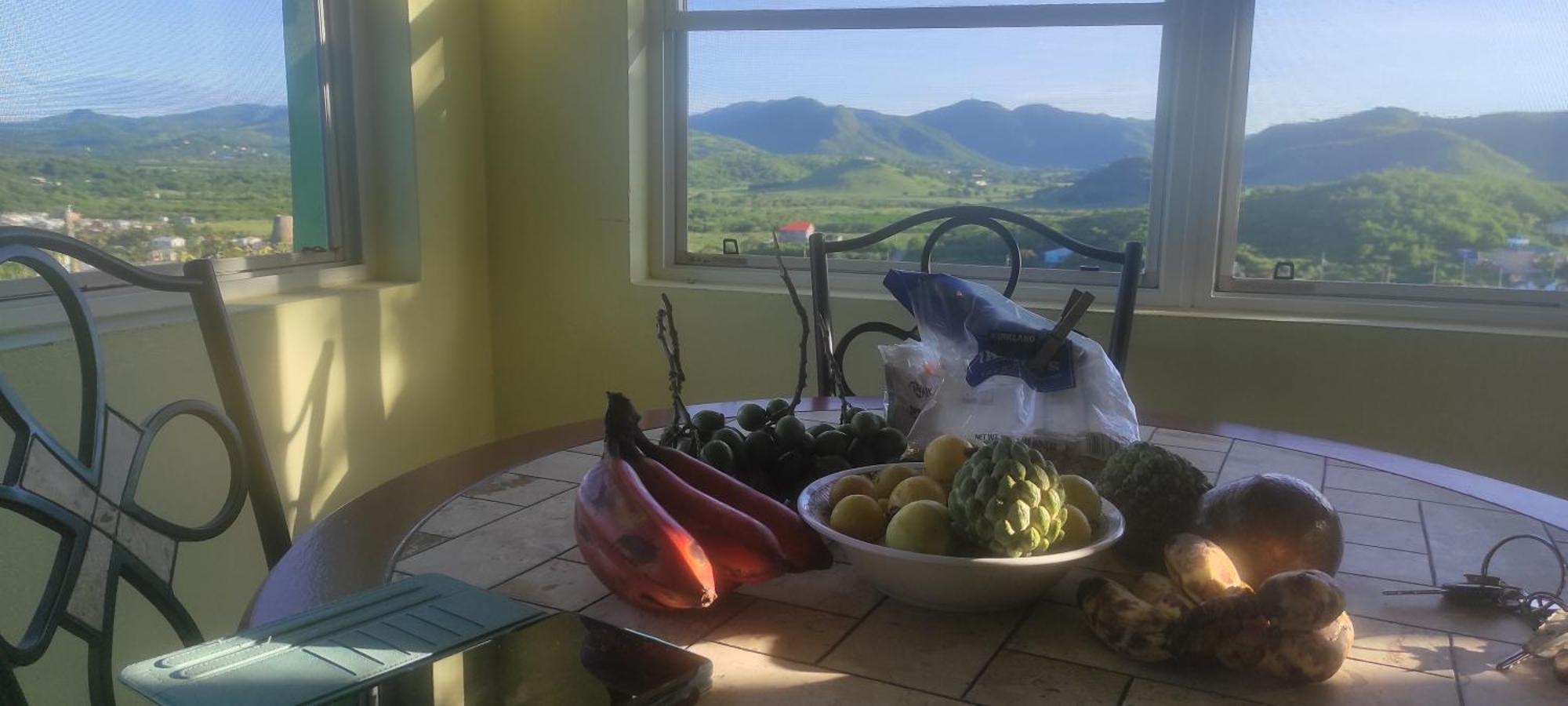 Zeus Estate Guesthouse St. John's Dış mekan fotoğraf